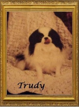 Trudy Kim. 1999-2015